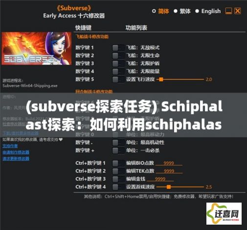 (subverse探索任务) Schiphalast探索：如何利用schiphalast机场成为国际航空枢纽的行业先锋