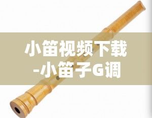 小笛视频下载-小笛子G调牧羊曲讲解视频v2.9.5手机版