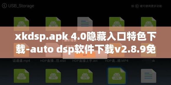 xkdsp.apk 4.0隐藏入口特色下载-auto dsp软件下载v2.8.9免费手机版