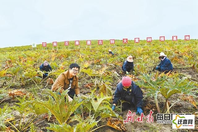 (迷你世界部落生存第一集) 揭秘迷你部落：探索环保理念如何在小型社区中落地生根